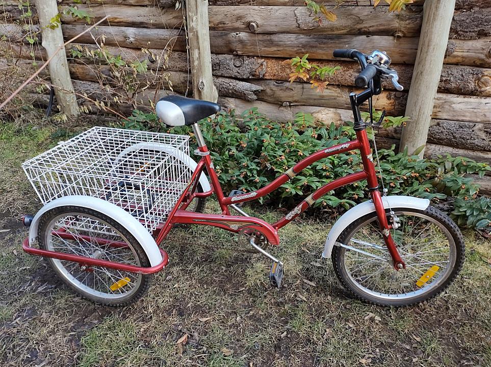 Bicicleta Triciclo